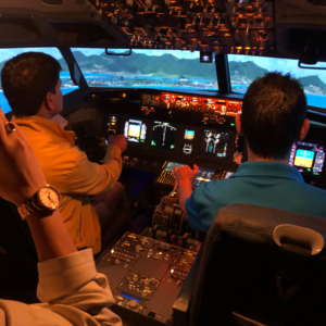 Flight simulator in Anaheim CA